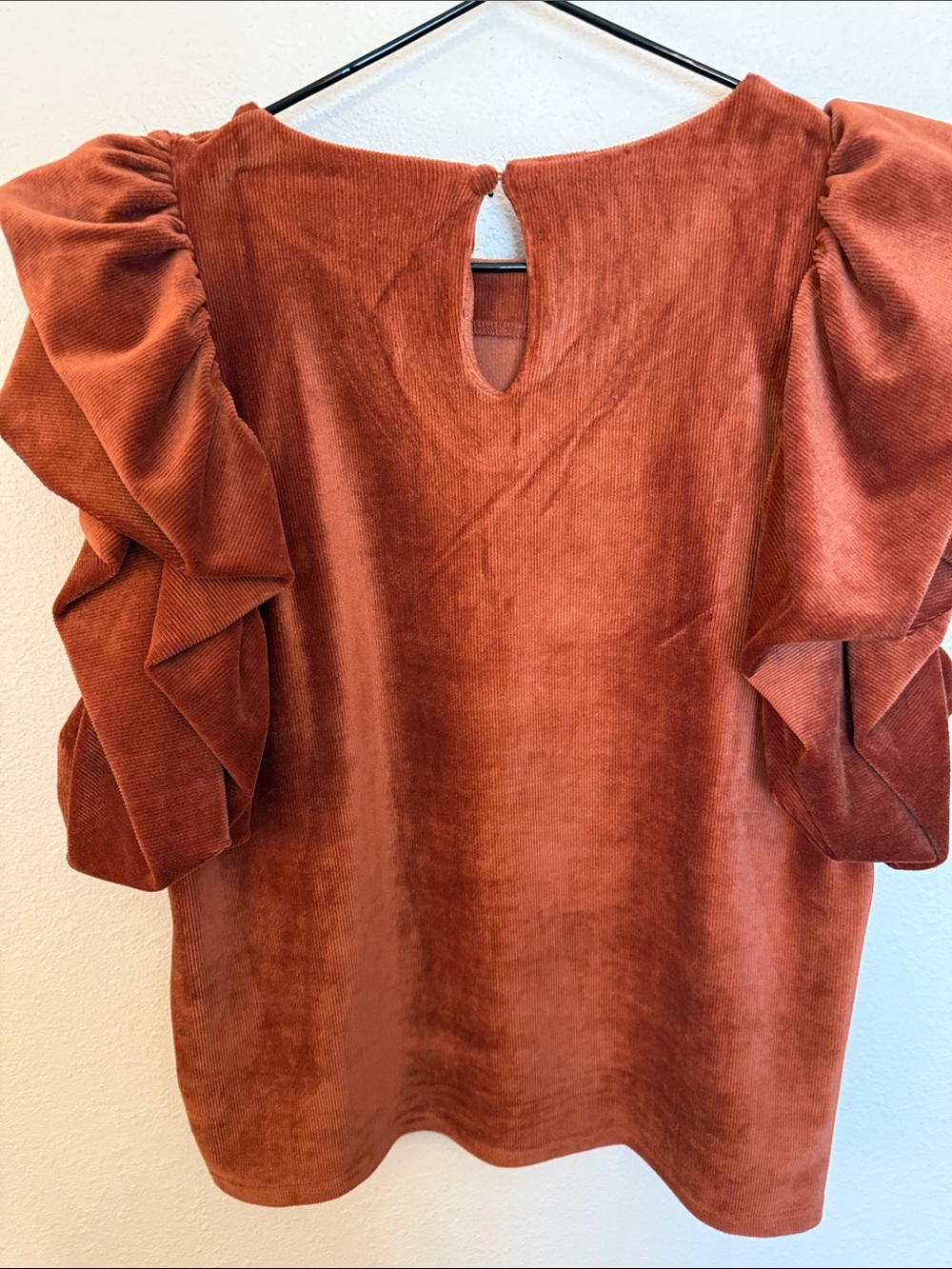 THML Rust Velvet Ruffle Sleeve Top - Picture 4 of 4